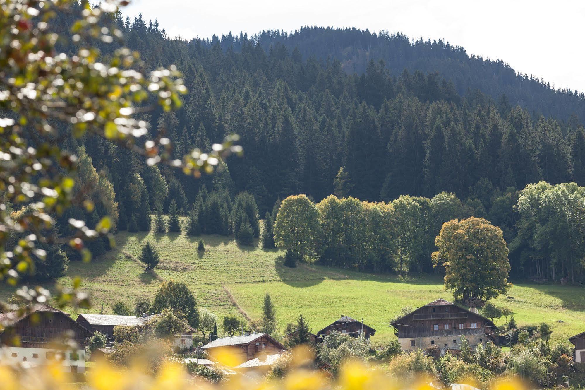 Hotel Le Caprice Des Neiges Combloux Zewnętrze zdjęcie